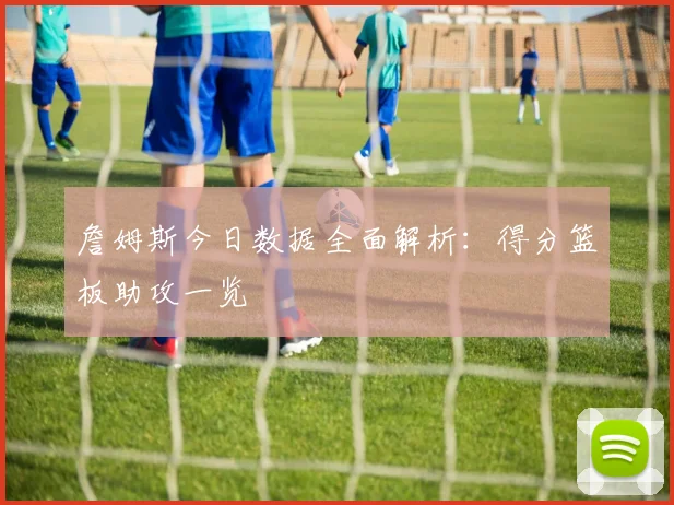 詹姆斯今日数据全面解析：得分篮板助攻一览