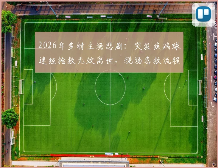 2026年多特主场悲剧:突发疾病球迷经抢救无效离世,现场急救流程与球迷观赛安全须知