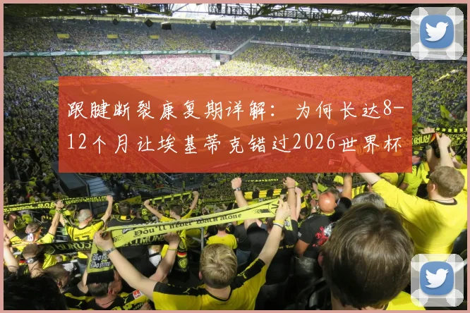 跟腱断裂康复期详解：为何长达8-12个月让埃基蒂克错过2026世界杯，附运动员恢复阶段与预防训练指南