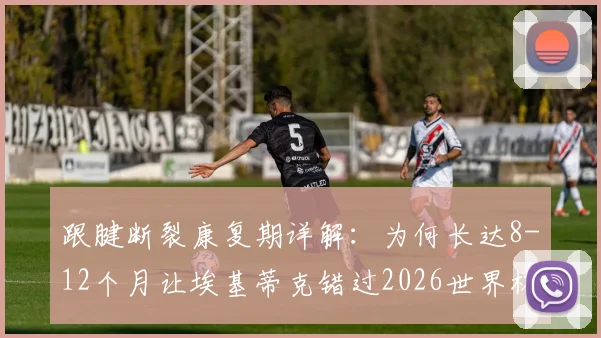 跟腱断裂康复期详解：为何长达8-12个月让埃基蒂克错过2026世界杯，附运动员恢复阶段与预防训练指南